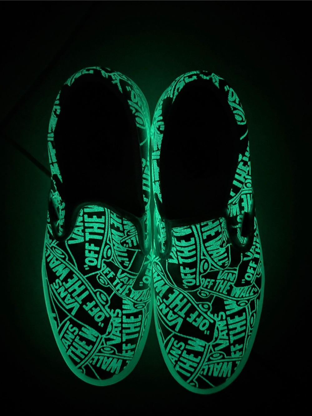 Vans Men’s Slip-On Canvas Shoes in Pale Green and White